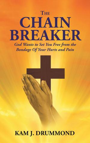 Cover of the book The Chain Breaker by Tori Carrato