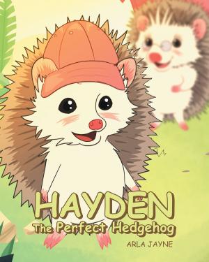 Cover of the book Hayden the Perfect Hedgehog by Ann Lapp- Haught