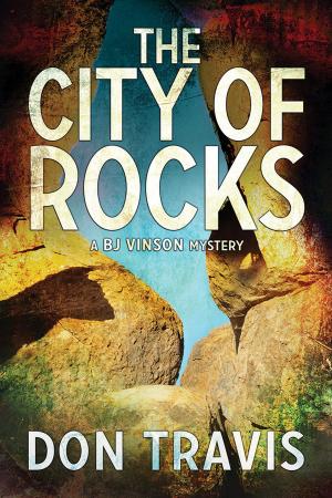 Cover of the book The City of Rocks by Mary Calmes