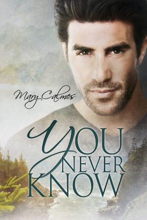 Cover of the book You Never Know by Bru Baker