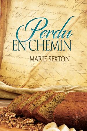 Book cover of Perdu en chemin