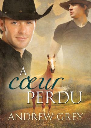 Cover of the book À cœur perdu by Andrew Grey