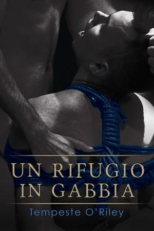 Cover of the book Un rifugio in gabbia by Eric Arvin