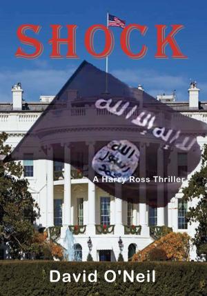 Cover of the book Shock by Duane Schwartz