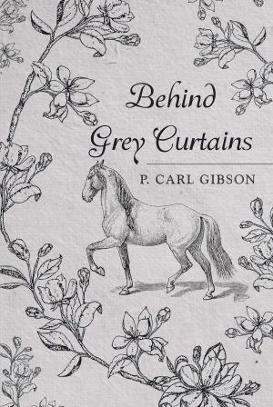 Cover of the book Behind Grey Curtains by Lisa Shults