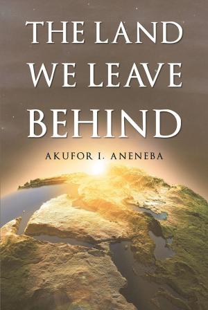 Cover of the book The Land We Leave Behind by Stacey Jewell