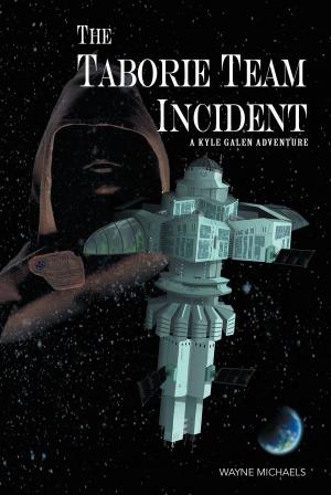 Book cover of The Taborie Team Incident