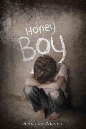 Cover of the book Honey Boy by Greg Dillensnyder