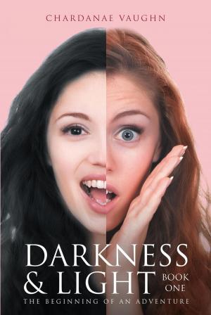 Cover of the book Darkness & Light - Book One by J Steele Sandomire