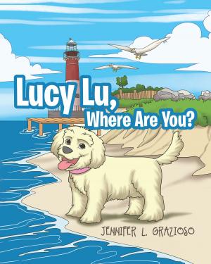 bigCover of the book Lucy Lu, Where Are You? by 