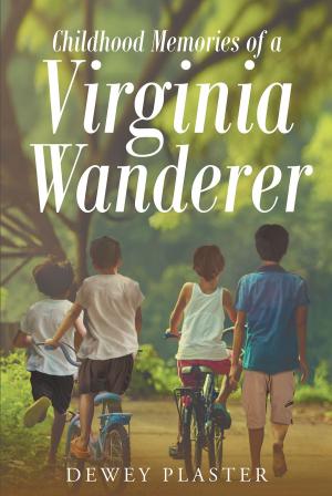 Cover of Childhood Memories of a Virginia Wanderer