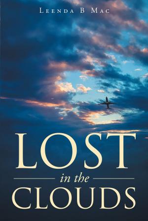 Cover of the book Lost in the Clouds by Alice Sandoval