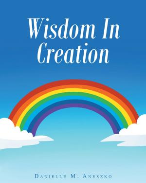 Cover of the book Wisdom In Creation by Keith B. Perrin