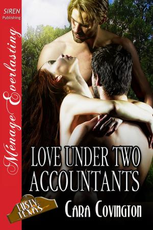 Cover of the book Love Under Two Accountants by Christa Tomlinson