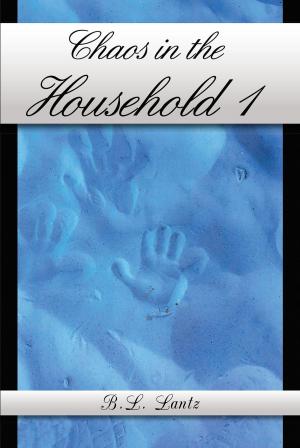 Cover of the book Chaos in the Household 1 by Annette Hinshaw