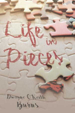 Cover of the book Life in Pieces by Jonathan Baker Horncock