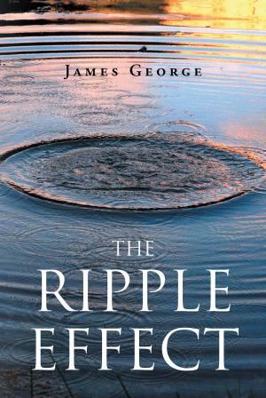 Cover of the book The Ripple Effect by Jarrel L. Johnson