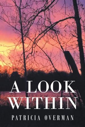 bigCover of the book A Look Within by 