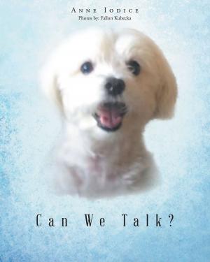 Cover of the book Can We Talk? by Fletcher DeWolf