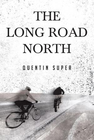 Cover of the book The Long Road North by Vernon Patrick