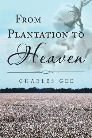 Cover of the book From Plantation to Heaven by Victoria Gallagher
