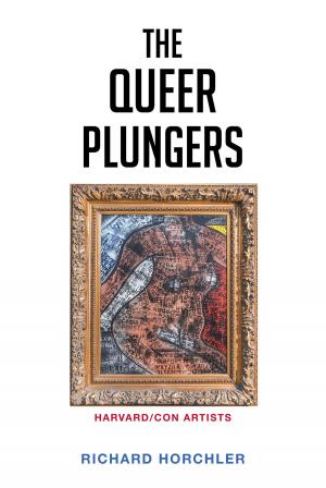 Cover of the book The Queer Plungers by Christopher O. Makoyawo