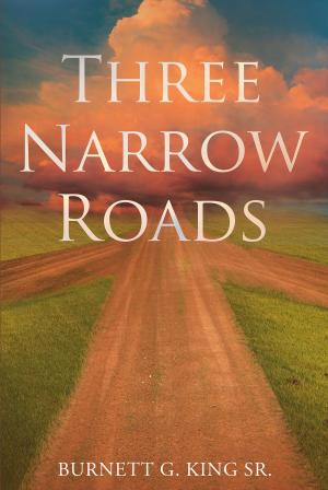 Book cover of Three Narrow Roads