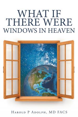 Cover of the book What If There Were Windows in Heaven by Bonnetta Rose