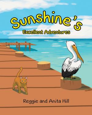 Cover of the book Sunshine's Excellent Adventures by Patricia A. Gummeson
