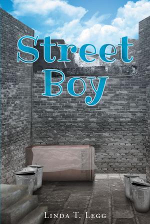 Cover of the book Street Boy by Jen Miller