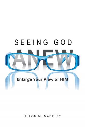Cover of the book Seeing God Anew by Joe Kotvas