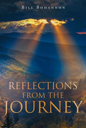 bigCover of the book Reflections From The Journey by 