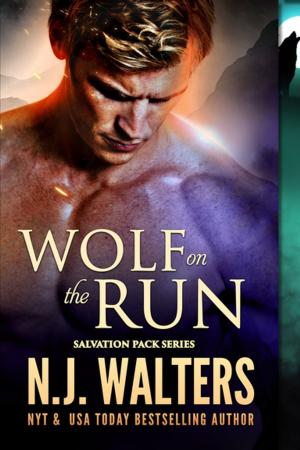 Cover of the book Wolf on the Run by Shannon Duane