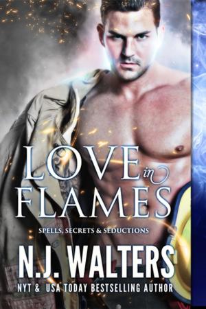 Cover of the book Love in Flames by Lisa Kessler