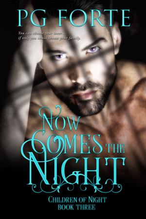 Cover of the book Now Comes the Night by Nicole Luiken