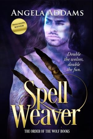 Book cover of Spell Weaver plus Mayhem