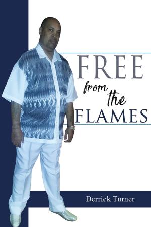 Cover of the book Free From The Flames by Deke Rivers