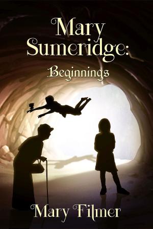 Cover of the book Mary Sumeridge by Jill Wallace