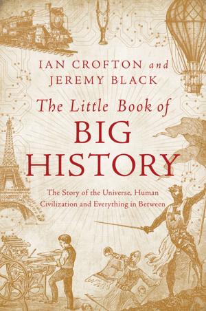Book cover of The Little Book of Big History: The Story of the Universe, Human Civilization, and Everything in Between