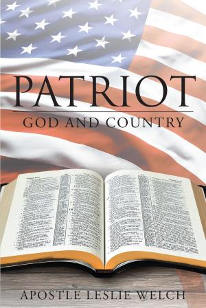 Cover of the book Patriot by Phillip Stevenson
