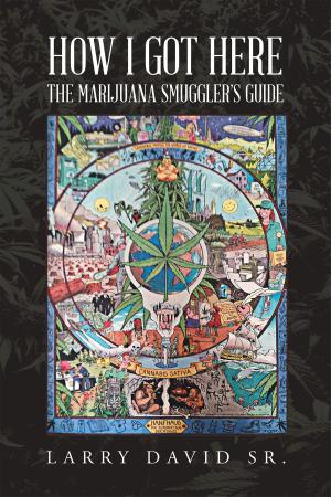 Cover of the book How I Got Here: The MARIJUANA SMUGGLERS GUIDE by J.T.F. Dvorak
