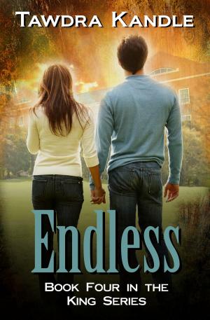 Cover of the book Endless by Lacey Carter Andersen