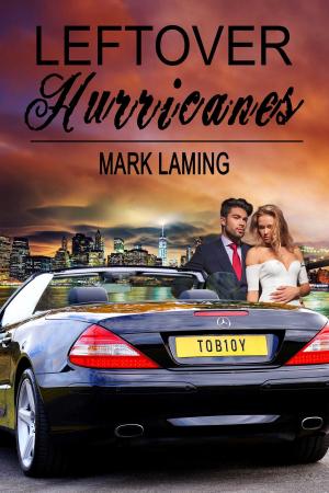 Book cover of Leftover Hurricanes