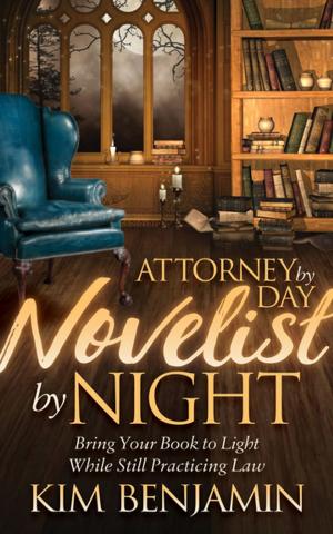 Cover of the book Attorney by Day, Novelist by Night by Wayne Wakefield