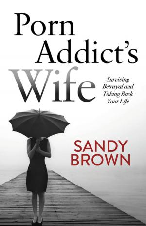 Cover of the book Porn Addict’s Wife by John Blackwell