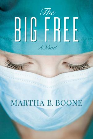 Cover of the book The Big Free by Jefferson Santos