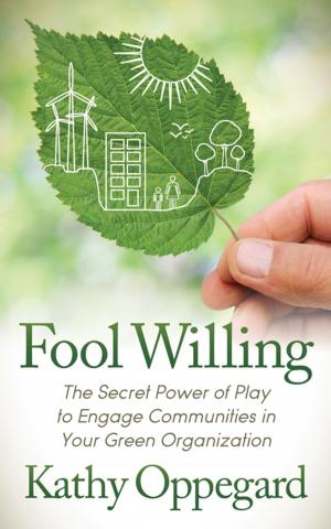 Cover of the book Fool Willing by Paul Johansson