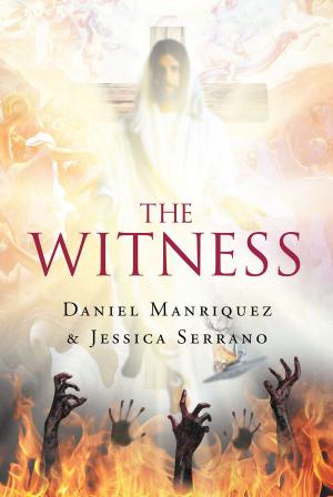 Cover of the book The Witness by J.G. Somers