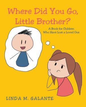 Cover of the book Where Did You Go, Little Brother? by Eric Bruce