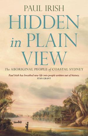 Book cover of Hidden in Plain View